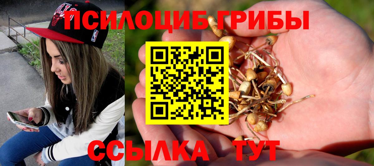 Галлюциногенные грибы мицелий  Вход с VPN  Коряжма  Галлюциногенные грибы Psilocybe 
